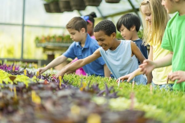 best_educational_trips_for_kids