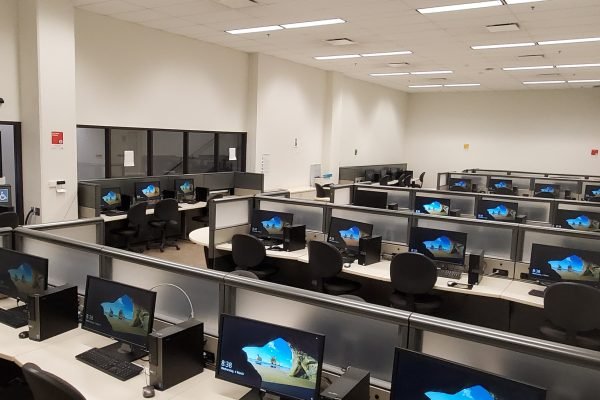 lab